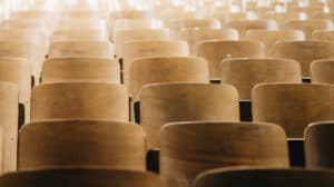 The Tern Solution Tern Mentoring